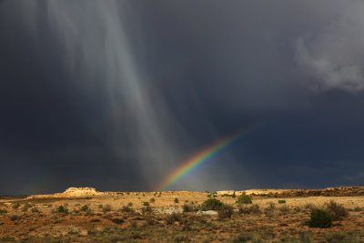 0068-3B9A5260-Magical Summer Storm in Northern Arizona.jpg