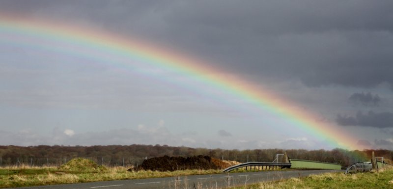 Pot of Gold