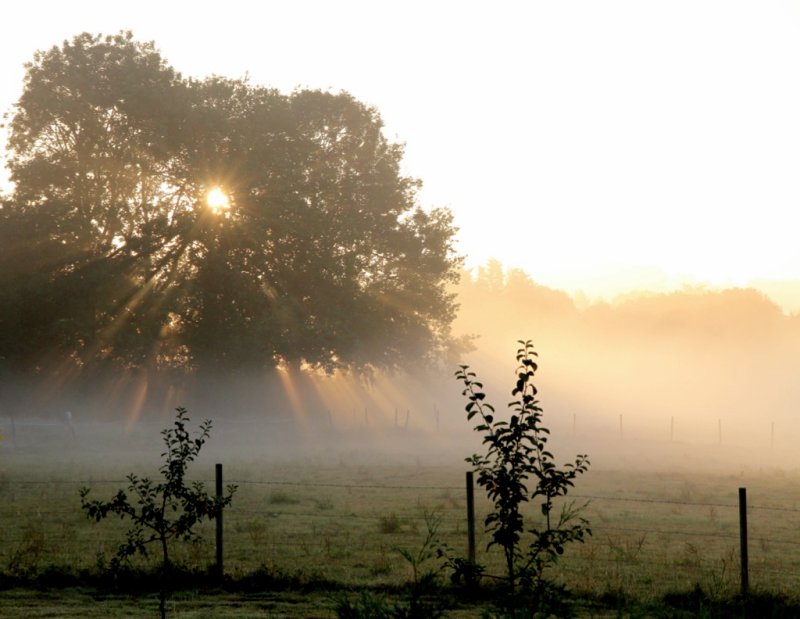 August 1st - #20 - Sunrise