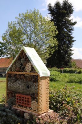 30 + 1 - Bee/Insect Hotel in situ