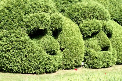 Lyrical June 7 - Topiary