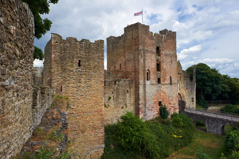 DSC_2478.jpg