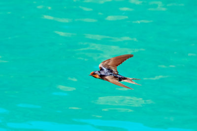DSC_4545.jpg