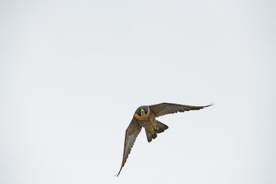 DSC_4820.jpg