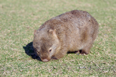DSC_7275.jpg