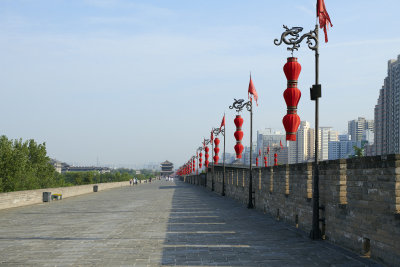 DSC_0923.jpg
