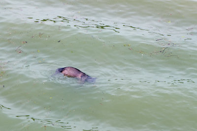 DSC_1821.jpg