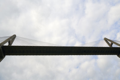 DSC_2224.jpg