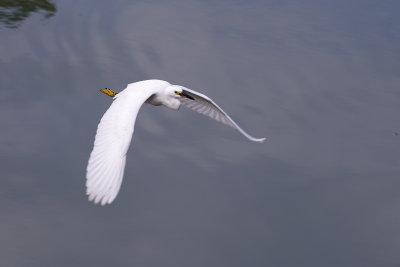 DSC_1327.jpg