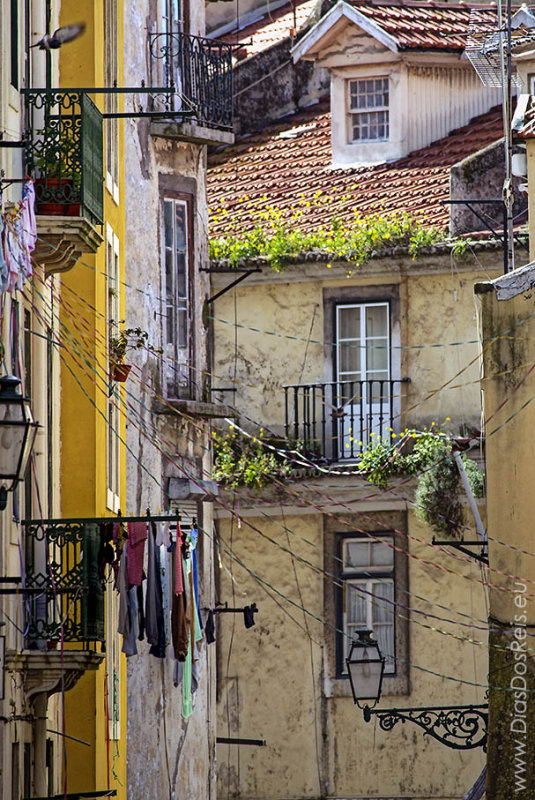 Janelas da Mouraria