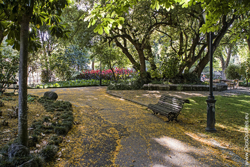 The Estrela Garden