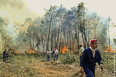 Os Incndios em Portugal