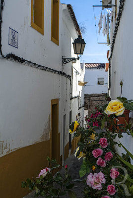 Rua das Flores