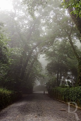 Sintra em 10 de julho de 2018