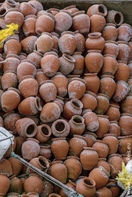 Fishing Artefacts