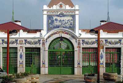 Vila Franca de Xira's Market