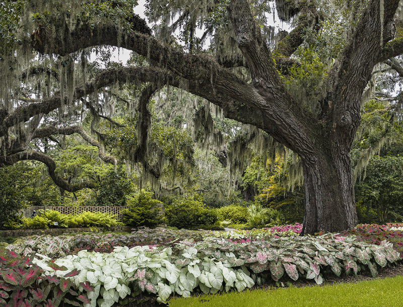 Brookgreen Gardens 2