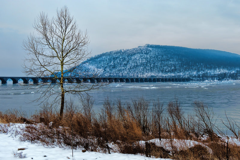 Winter along the Susquehanna River