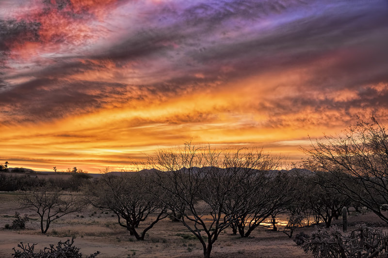 Arizona Sunset