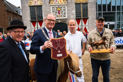 Paarden Markt Vianen 2017