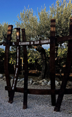 Grapes and Olives - 07.jpg