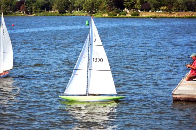 Sail Boat Hobby scale