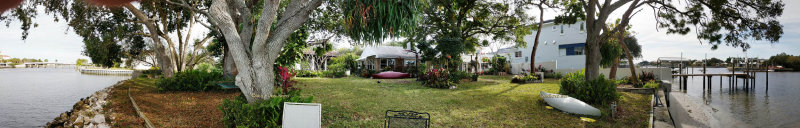 January 2017 - panoramic view of Wendy and Jims backyard in St. Petersburg (scroll to the right)