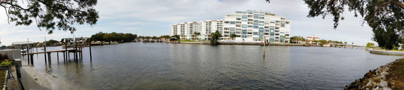 January 2017 - panoramic view from Wendy and Jims backyard in St. Petersburg