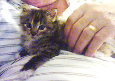 October 2011 - Don holding Cocoa at a very young age