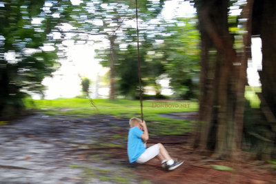 July 2016 - Kyler swinging from tree vines in a tot lot park in Miami Lakes