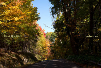 October 2016 - changing leaves on a rural road in the Vestal, New York area