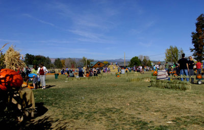 October 2016 - Diana's Pumpkin Patch and Corn Maize in Canon City, Colorado