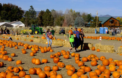 October 2016 - Diana's Pumpkin Patch and Corn Maize in Canon City, Colorado