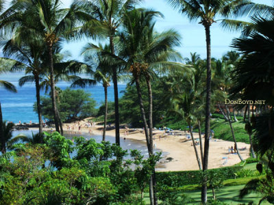 2010 - the grounds at the Marriott Wailea Beach Resort, Maui