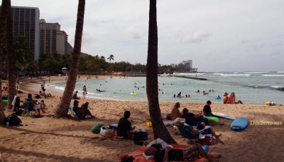 Waikiki Beach