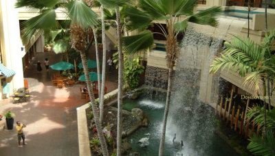 The indoor waterfall at the Hyatt Regency Waikiki