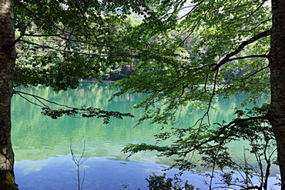 Azure waters - Biogradska Lake.
