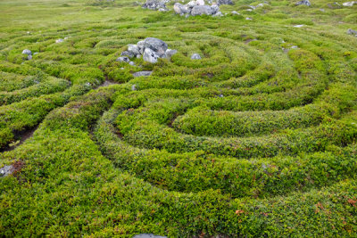Natural Labyrinth, Zayatsky Island, Russia.