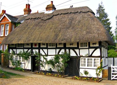 THE CAT HOUSE
