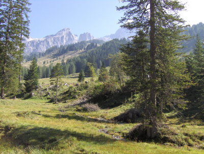Landscape near Filzmoos 