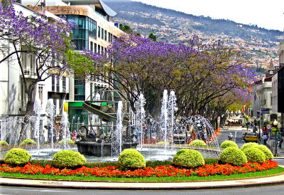  FOUNTAINS AT ROUNDABOUT 