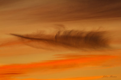 Une plume dans les nuages