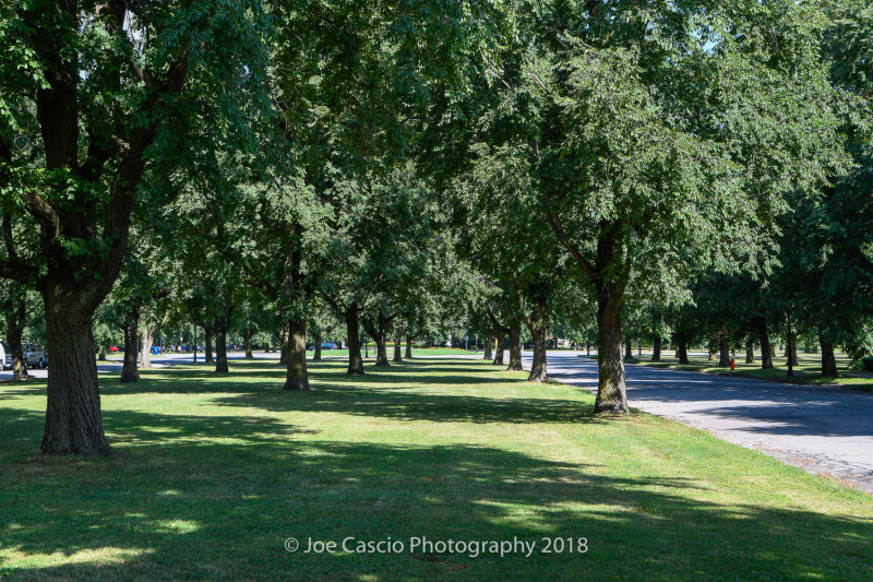 20180729_Olmsted_Parkways_web856325.jpg