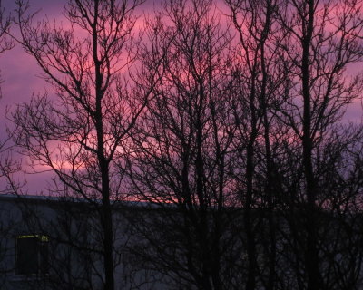 Sunset in january II