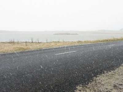 Snowing in May II