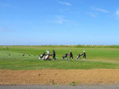 Golfers and geese