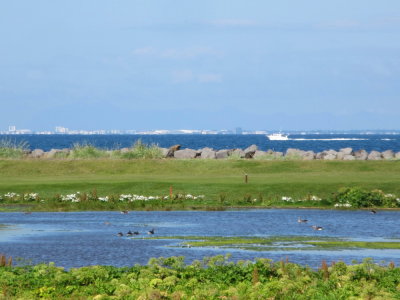 Reykjavk surroundings