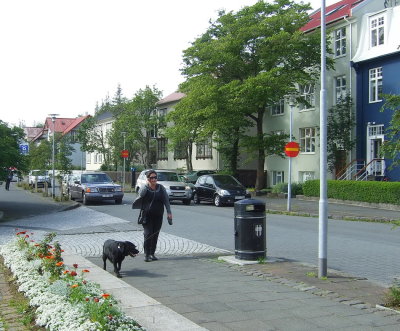 Walking in Tjarnargata