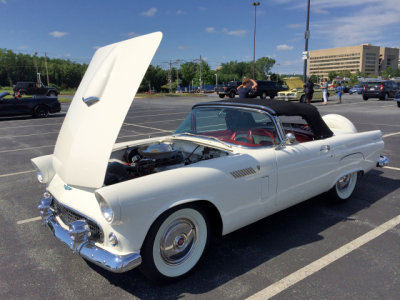 1956 Ford Thunderbird (6404)