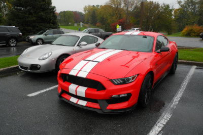 g10/21/783021/3/166523740.nFnWSa78.jpg